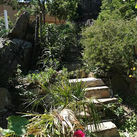 Daire Ou Souleou 3 Etoiles Dans Beton Jardin Vue Et Colline Bormes-les-Mimosas